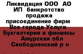 Ликвидация ООО, АО, ИП, банкротство, продажа, присоединение фирм - Все города Услуги » Бухгалтерия и финансы   . Амурская обл.,Свободненский р-н